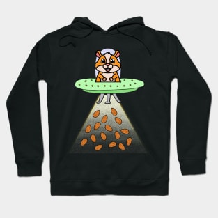 Funny orange hamster is flying a spaceship Hoodie